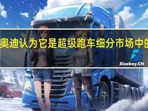 奥迪认为它是超级跑车细分市场中的SUV