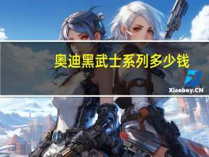 奥迪黑武士系列多少钱（奥迪黑武士）