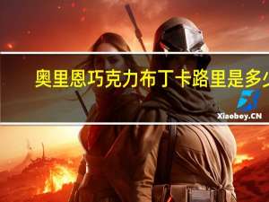 奥里恩 巧克力布丁卡路里是多少