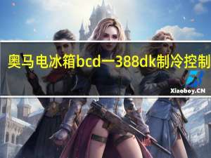 奥马电冰箱bcd一388dk制冷控制原理（奥马电冰箱）