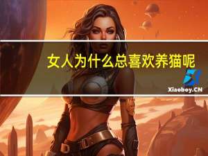 女人为什么总喜欢养猫呢