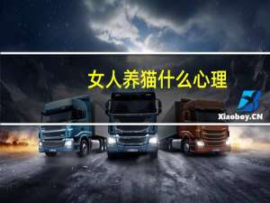 女人养猫什么心理