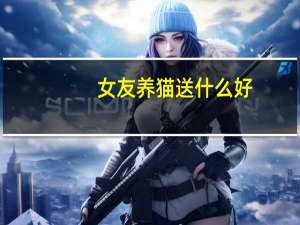 女友养猫送什么好