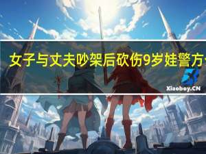 女子与丈夫吵架后砍伤9岁娃 警方介入