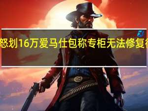 女子与男友吵架怒划16万爱马仕包称专柜无法修复很后悔 到底什么情况呢