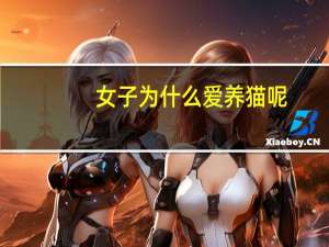 女子为什么爱养猫呢