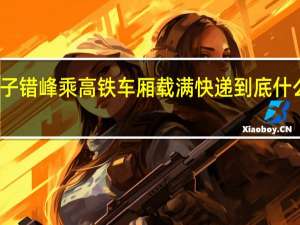 女子错峰乘高铁 车厢载满快递 到底什么情况呢