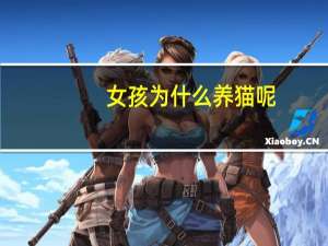 女孩为什么养猫呢