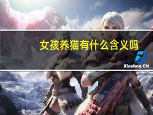 女孩养猫有什么含义吗