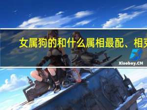女属狗的和什么属相最配、相克（女属狗的和什么属相最配）