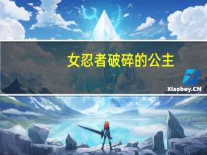 女忍者破碎的公主