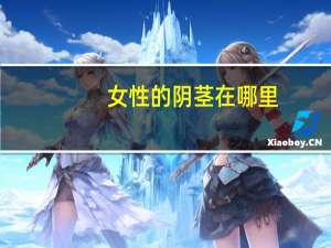女性的阴茎在哪里（女性l点在哪里）