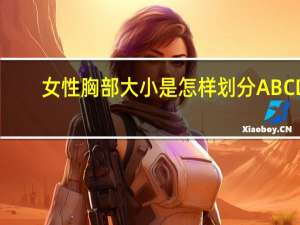女性胸部大小是怎样划分ABCD（女性胸部）