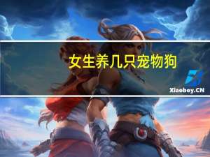 女生养几只宠物狗