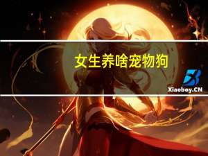女生养啥宠物狗