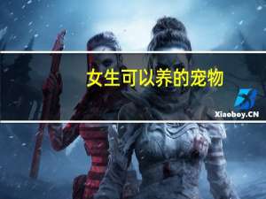 女生可以养的宠物