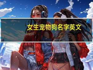 女生宠物狗名字英文