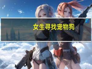 女生寻找宠物狗