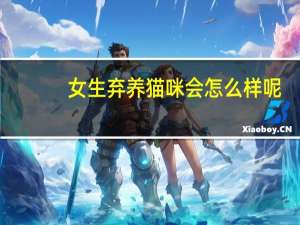 女生弃养猫咪会怎么样呢