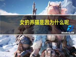 女的养猫是因为什么呢
