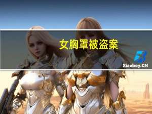 女胸罩被盗案（女胸）