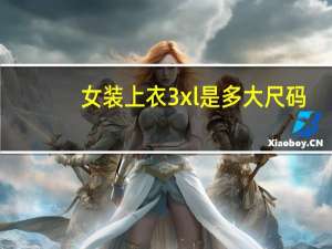 女装上衣3xl是多大尺码
