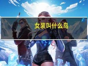 女装叫什么鸟