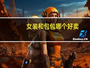 女装和包包哪个好卖
