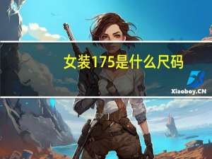 女装175是什么尺码