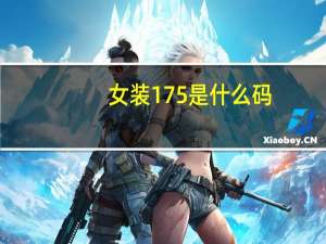女装175是什么码