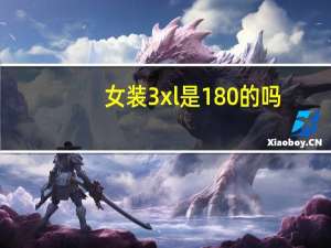 女装3xl是180的吗