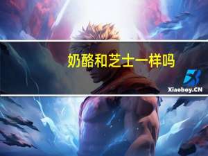 奶酪和芝士一样吗