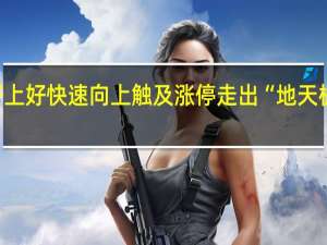 好上好快速向上触及涨停 走出“地天板”行情