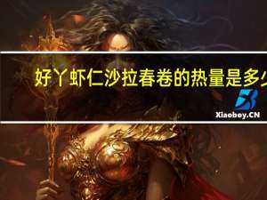 好丫 虾仁沙拉春卷的热量是多少