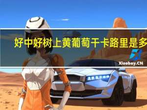 好中好 树上黄葡萄干卡路里是多少