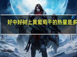 好中好 树上黄葡萄干的热量是多少