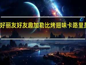 好丽友 好友趣 加勒比烤翅味卡路里是多少