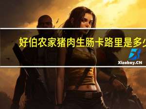 好伯 农家猪肉生肠卡路里是多少