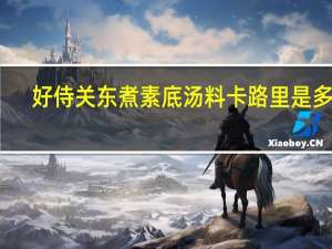 好侍 关东煮素底汤料卡路里是多少