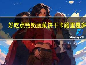 好吃点 钙奶蔬菜饼干卡路里是多少