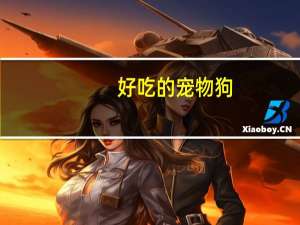 好吃的宠物狗