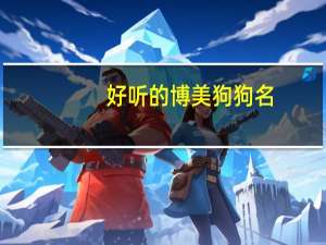 好听的博美狗狗名