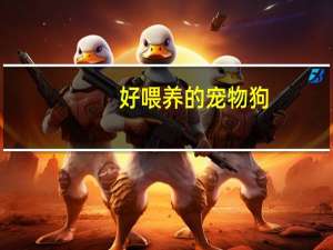 好喂养的宠物狗