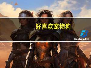 好喜欢宠物狗