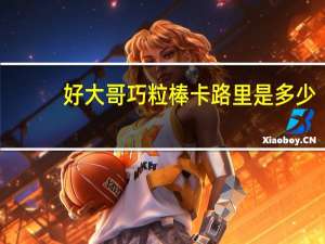 好大哥 巧粒棒卡路里是多少