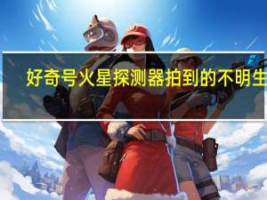 好奇号火星探测器拍到的不明生物（好奇号火星探测器简介）