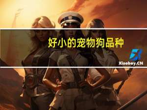 好小的宠物狗品种