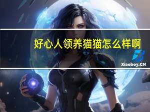 好心人领养猫猫怎么样啊