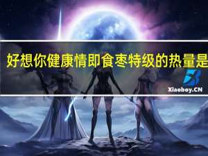好想你健康情即食枣特级的热量是多少