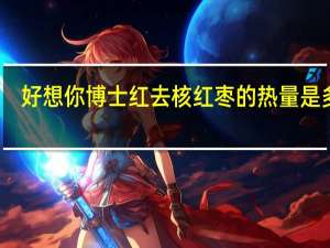 好想你 博士红去核红枣的热量是多少